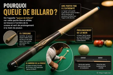 Pourquoi une queue de billard est-elle indispensable ?
