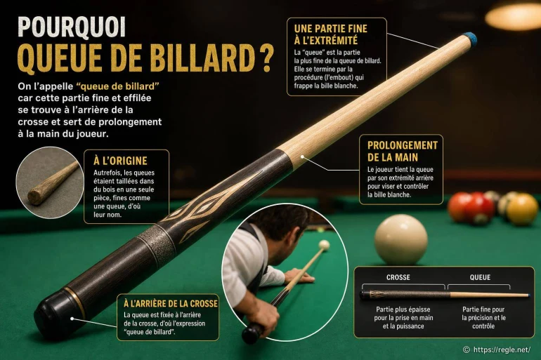 Pourquoi une queue de billard est-elle indispensable ?