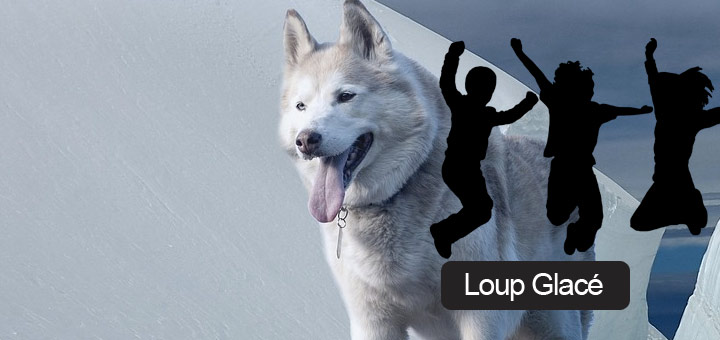 Loup Glacé