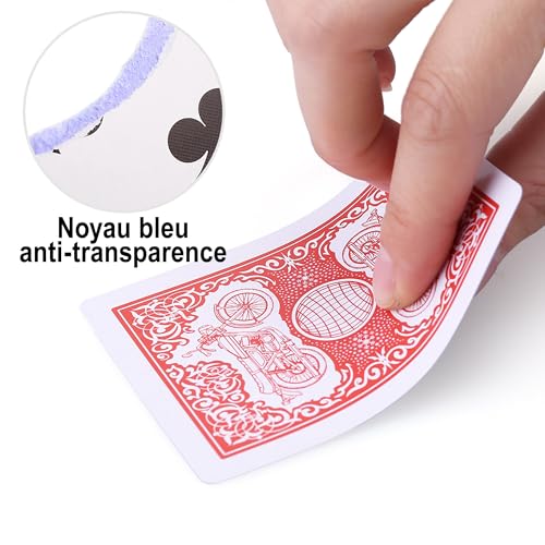 LotFancy 12 Jeux de Cartes 54 à Index Standard, 6 Bleu et 6 